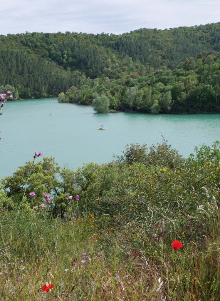 Le Lac de Saint-Cassien