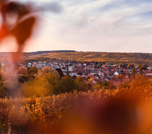 alsace-eteindien