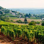 Pays de la Loire