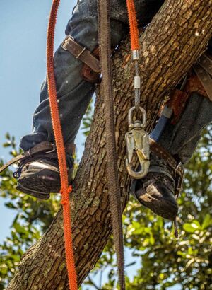 Crampons D'élagage Pour Grimper Aux Arbres - Acier Manganèse, Charge 150 Kg - Taille Réglable 250-500 Mm - Avec Ceinture De Sécurité
