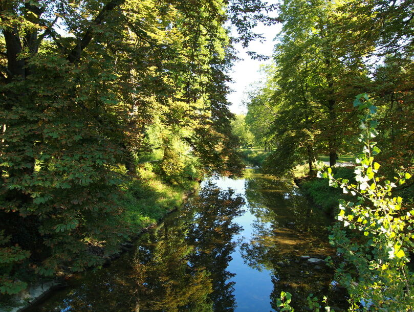 forêt d’Ermenonville