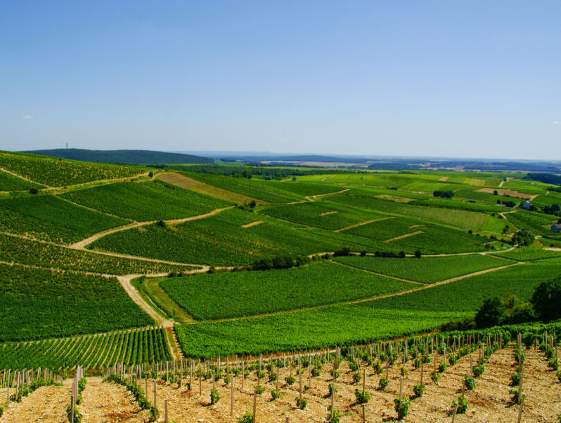 la boucle au pied de Sancerre