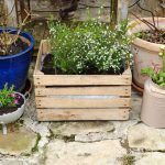 Upcycling des contenants originaux pour vos fleurs