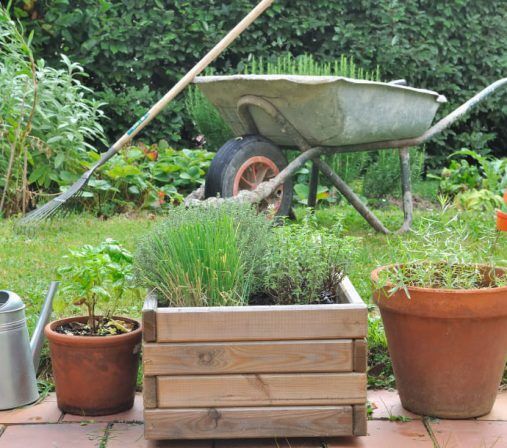 Jardinage Arromate