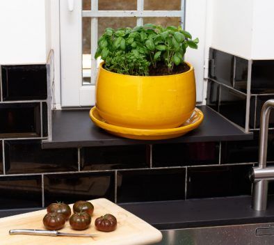 Jardinage Arromate 2