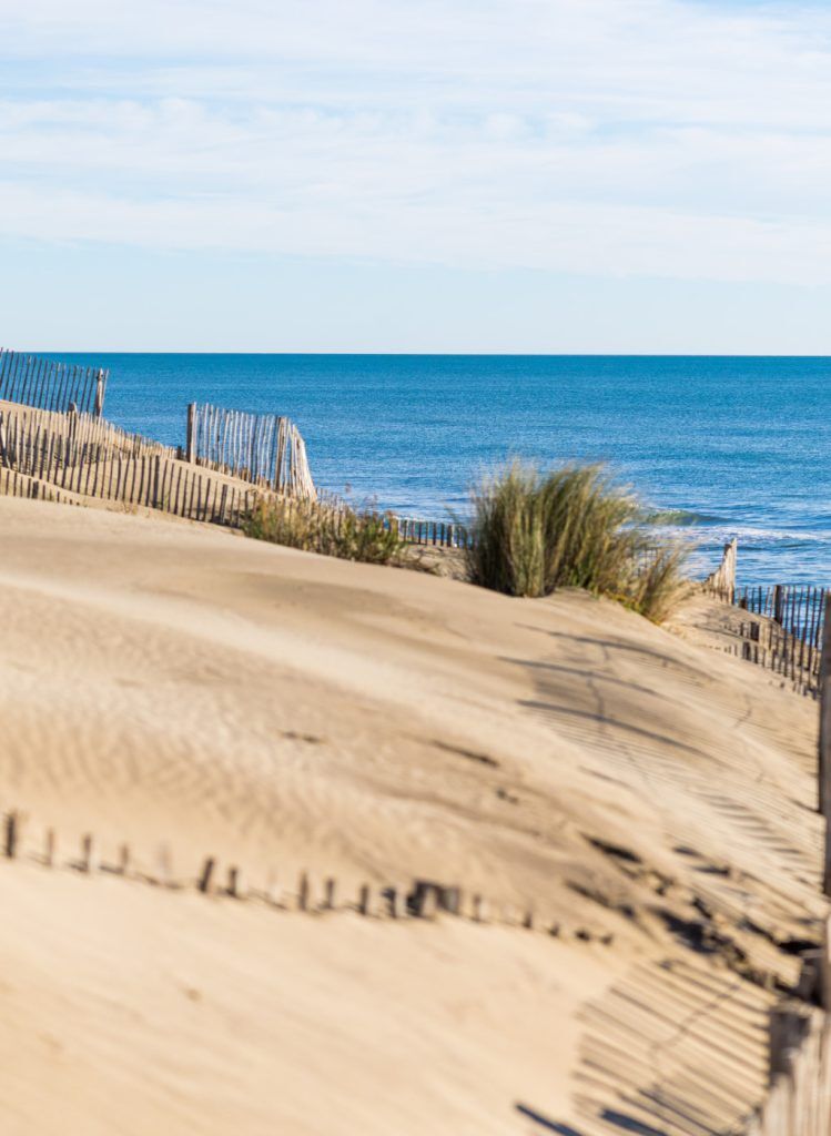 Plage de l’Espiguette (Camargue)