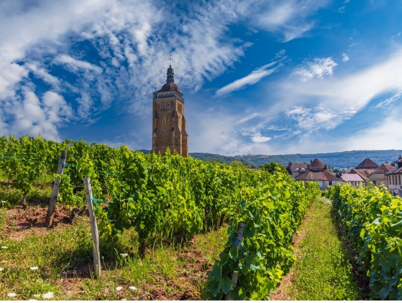 vignoble Jura