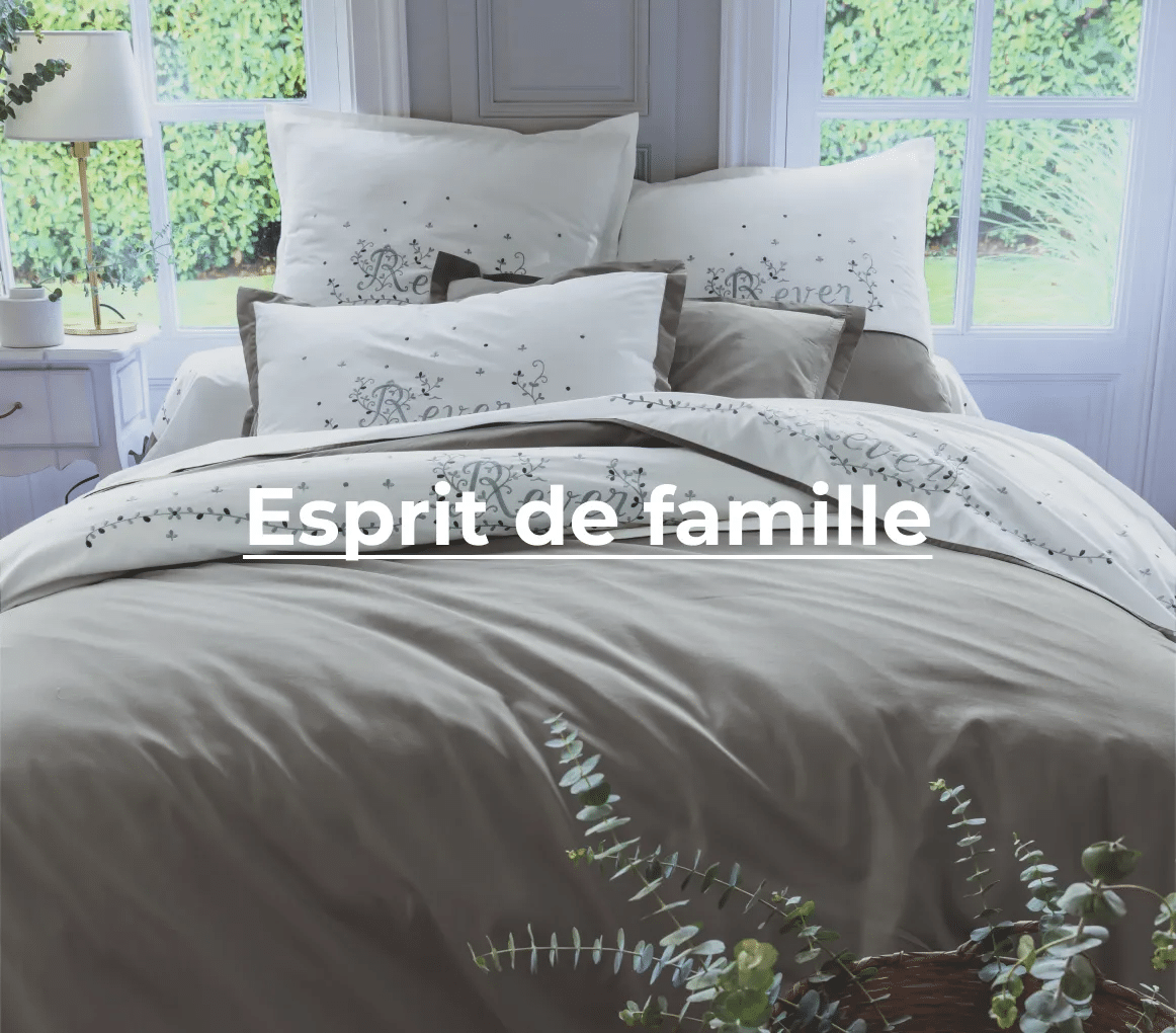 Esprit de famille