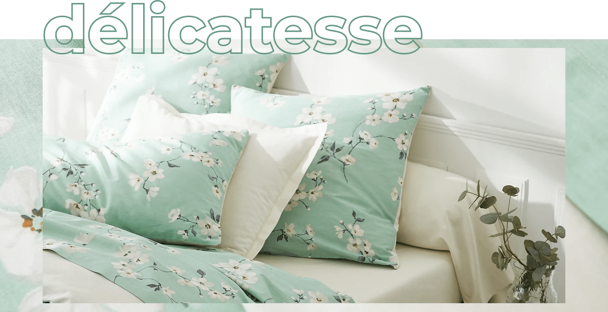Délicatesse