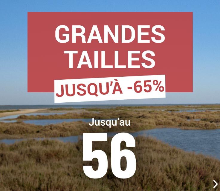 Vêtements Grandes Tailles femme jusqu'au 56