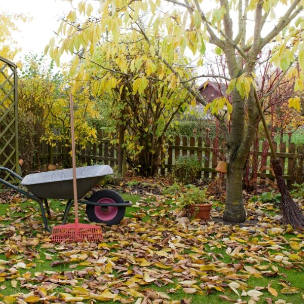 jardinage automne