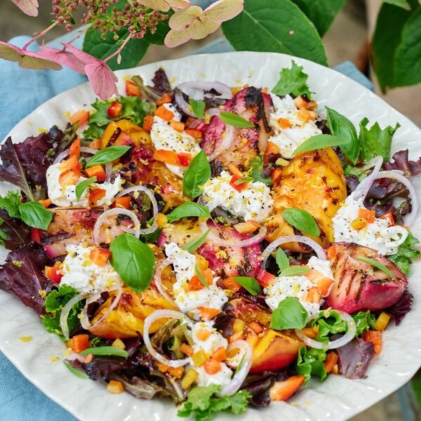 recettes ensoleillées