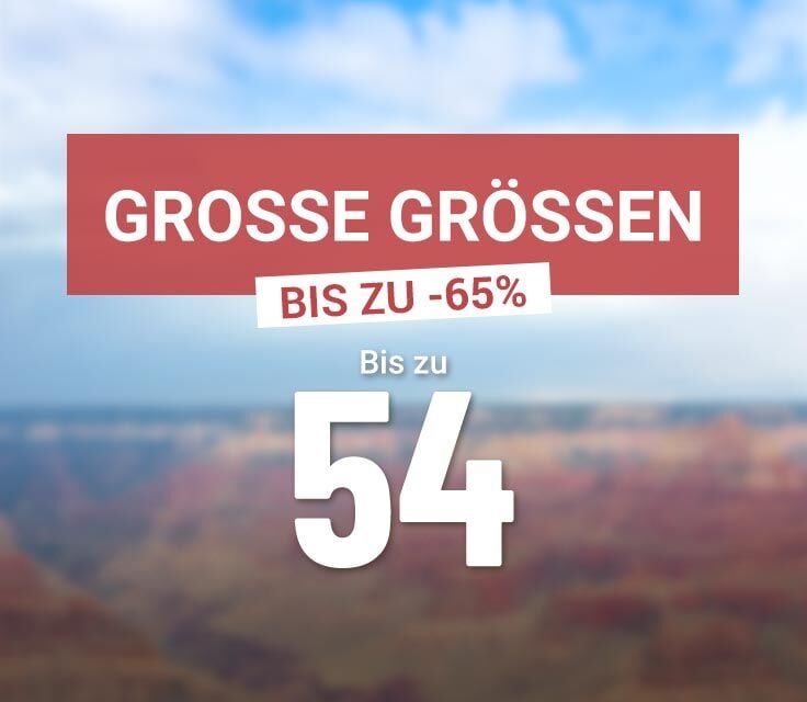 damen bekleidung in grossen grossen bis 54