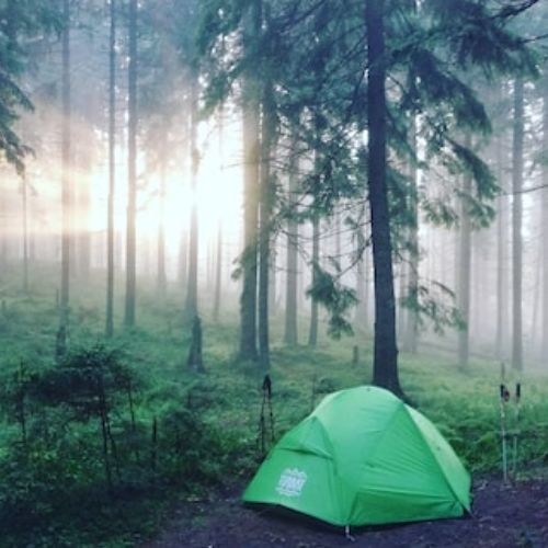 grunes zelt im wald