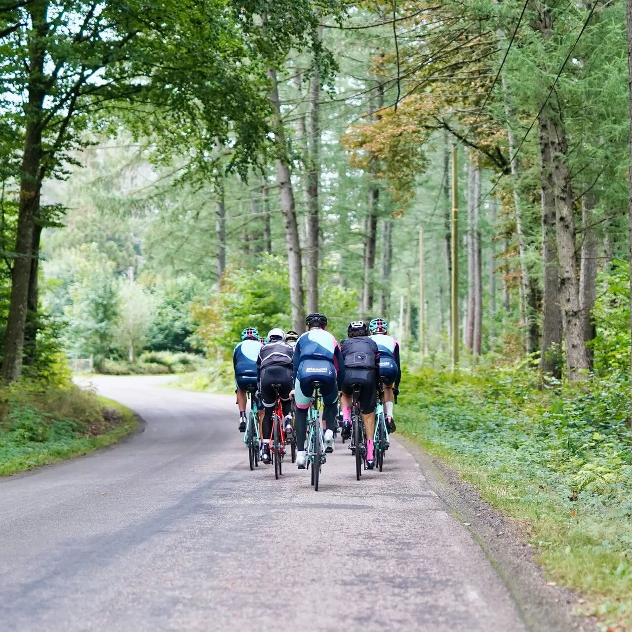 Skupina cyklistů
