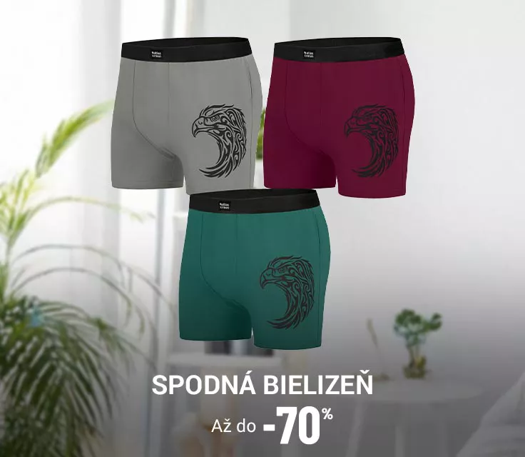 Pánska spodná bielizeň