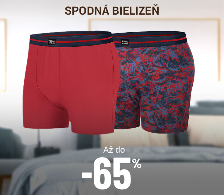 Pánska spodná bielizeň