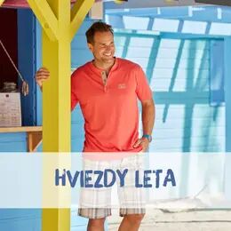 Hviezdy leta