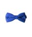 Noeud Papillon-2