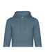 Mens King Hoodie Nordic Blue B&C-2