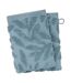 Lot de 2 Gants de Toilette Tencel 15x21cm Bleu-1