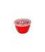 Harry Potter Gryffindor Soup and Snack Mug (Red/Clear) (One Size) - UTBS3832