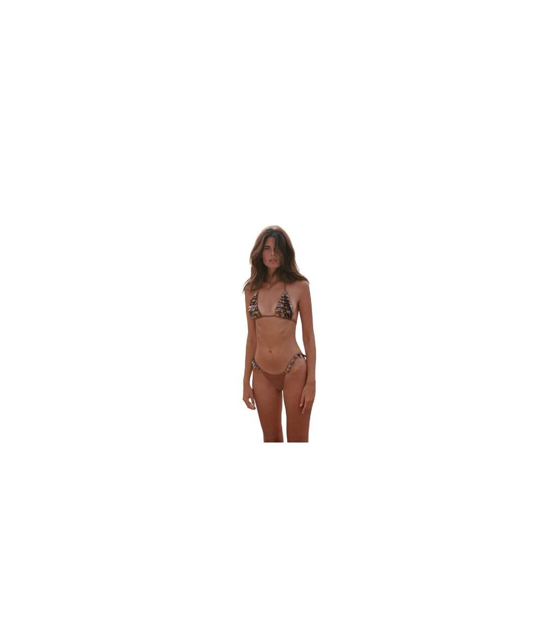 Womens/ladies Cici Seashell Bikini Bottoms Bronze Shell Devon Windsor-1