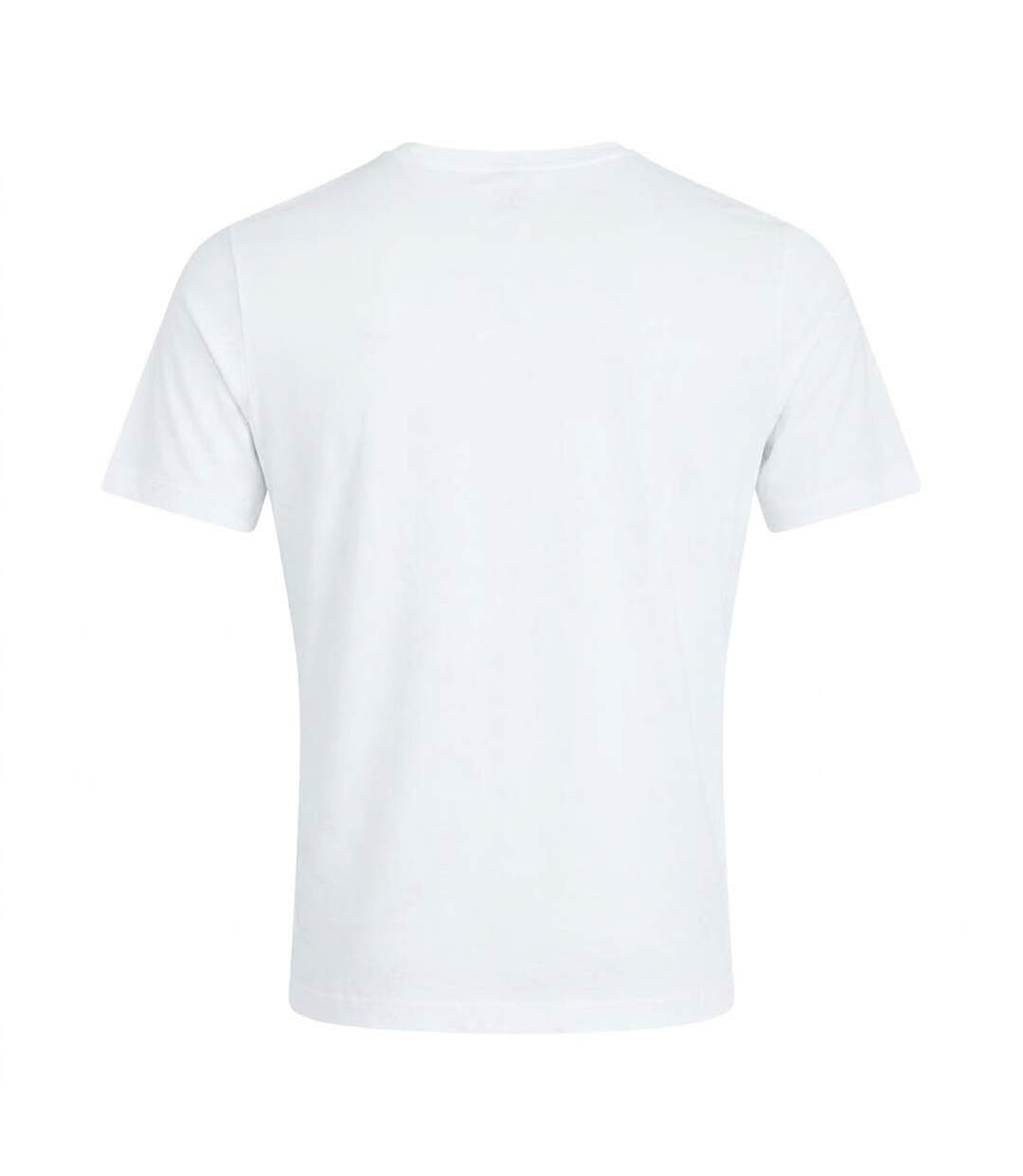 Mens Club Logo T-shirt White Speedo-2