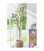 Plante Artificielle Fines Feuilles 190cm Vert & Noir-3