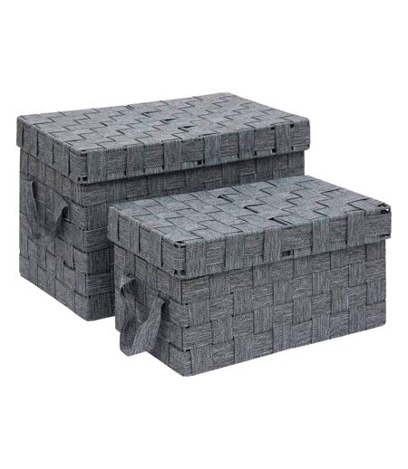 Lot de 2 Boîtes de Rangement Lise 35cm Gris