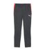 Mens Individualliga Tracksuit Bottoms Shadow Grey Puma-1