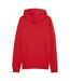 Veste À Capuche Team Goal Homme Rouge Puma-3