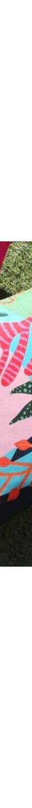 Furn - Housse de coussin d'extérieur CORALINA (Multicolore) (Taille unique) - UTRV2485