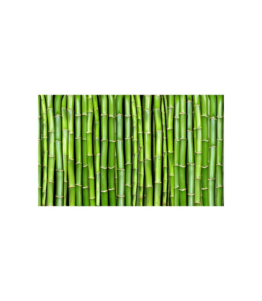 Papier Peint Mur Vert Bambou II 450x270cm-2