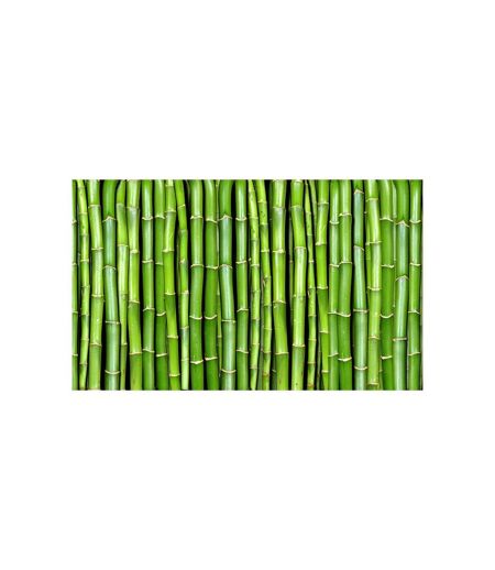 Papier Peint Mur Vert Bambou II 450x270cm