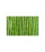 Papier Peint Mur Vert Bambou II 450x270cm-2