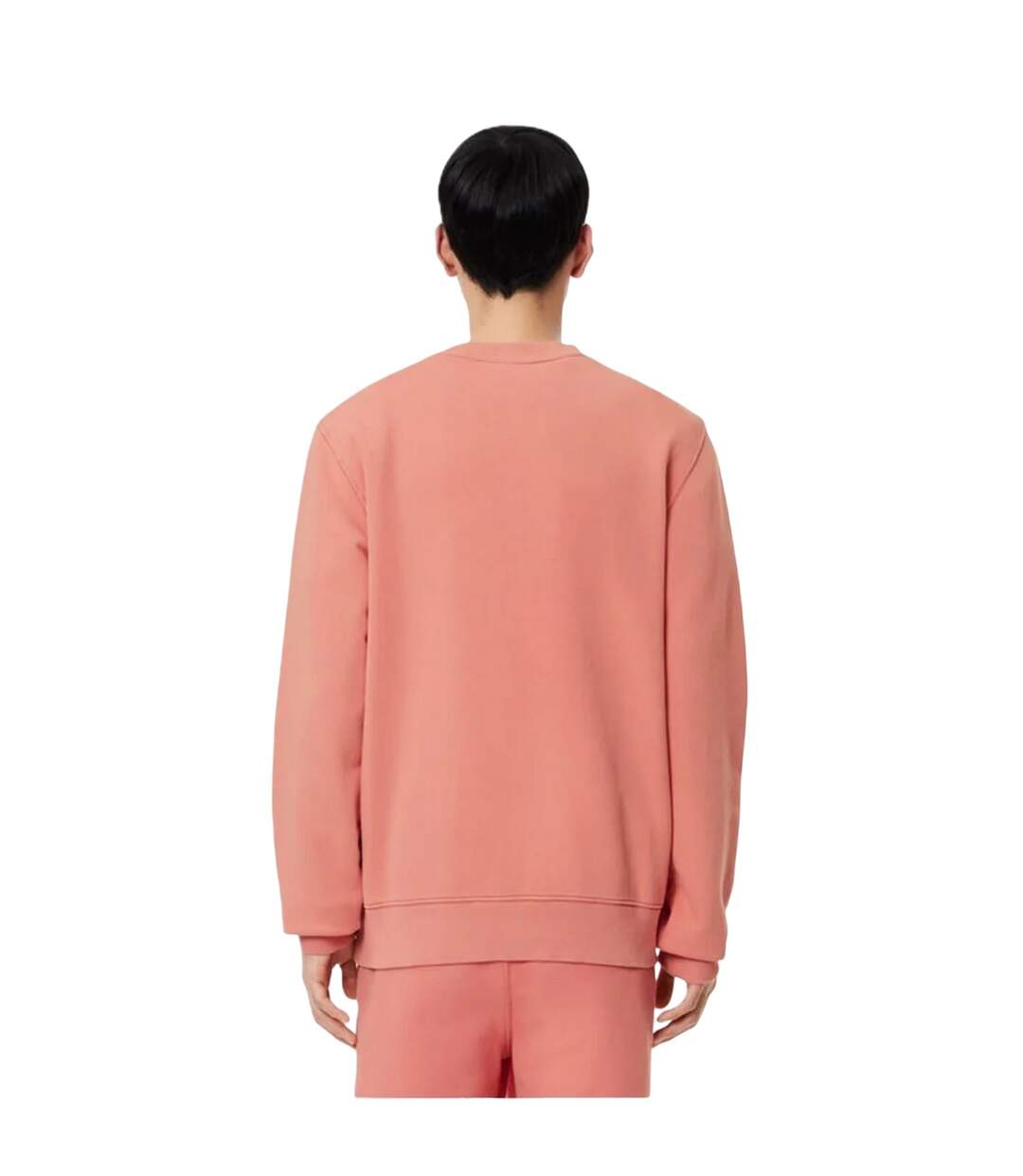 Sweat Motif/style Imprimé Homme Terracotta Lacoste-2