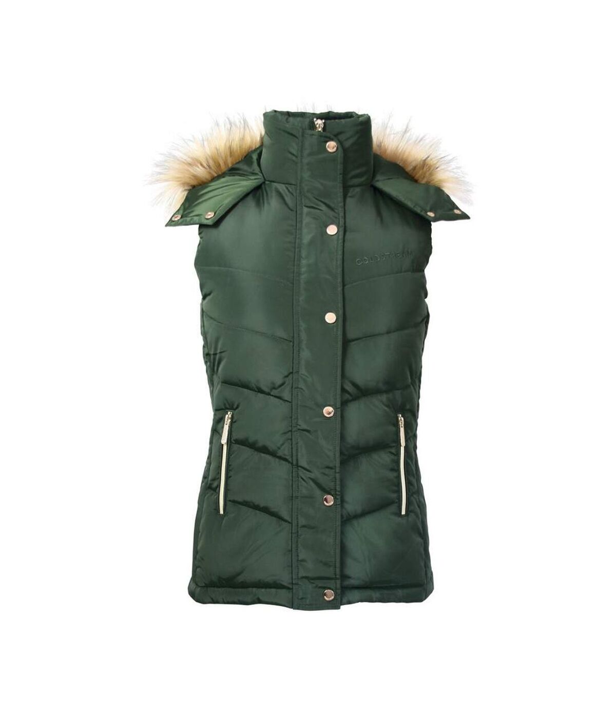Coldstream Womens/Ladies Leitholm Quilted Gilet (Fern)