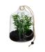 Terrarium à Suspendre Naly 15cm Vert-1