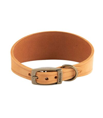 Timberwolf hound leather dog collar 30cm 34cm mustard Ancol