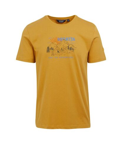 Regatta - T-shirt CLINE ADVENTURE - Homme (Jaune d'or) - UTRG10689