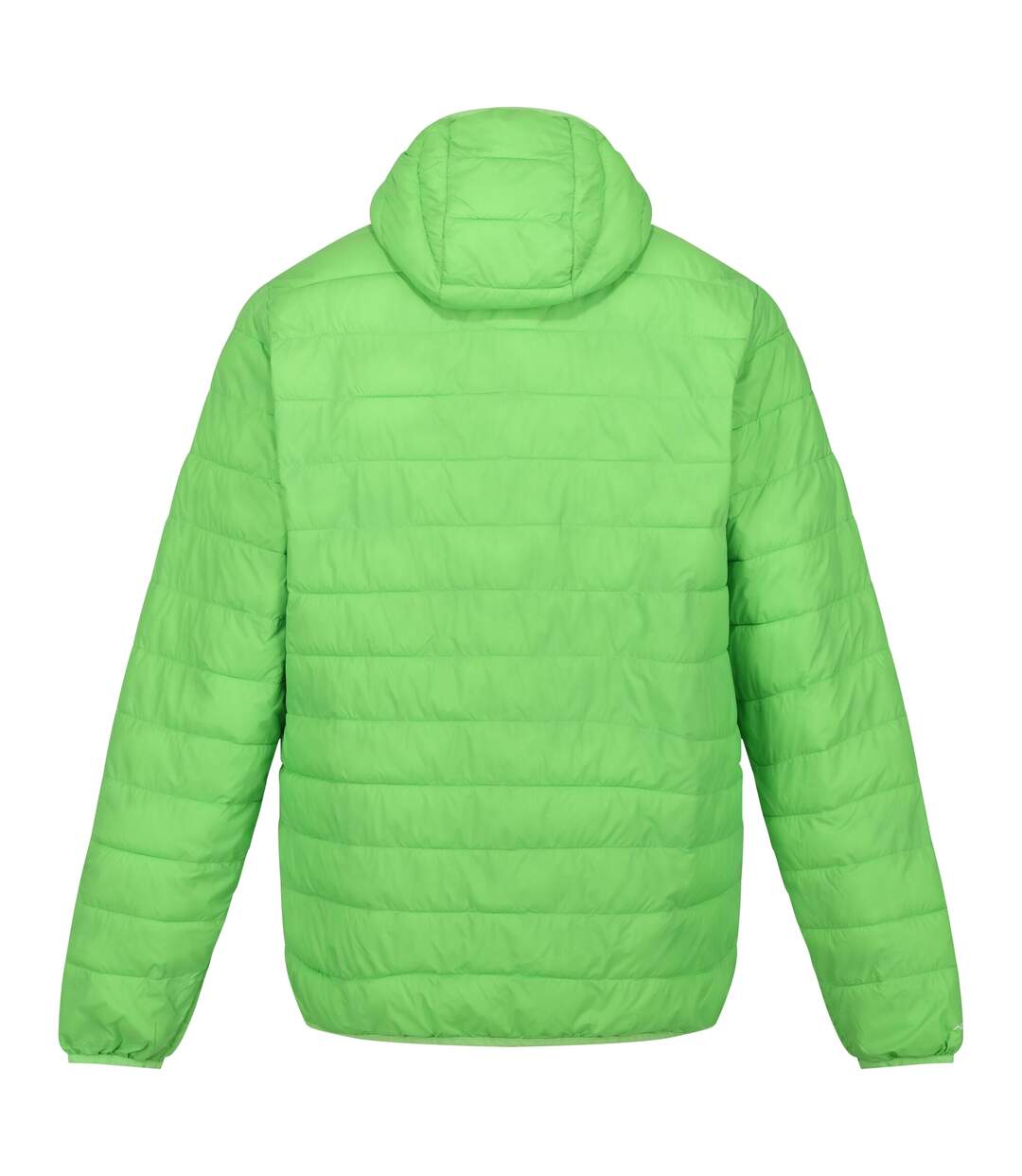 Mens hillpack hooded lightweight jacket jasmine green Regatta-2