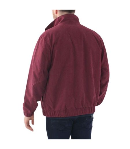 Veste Homme Bordeaux Tommy Hilfiger