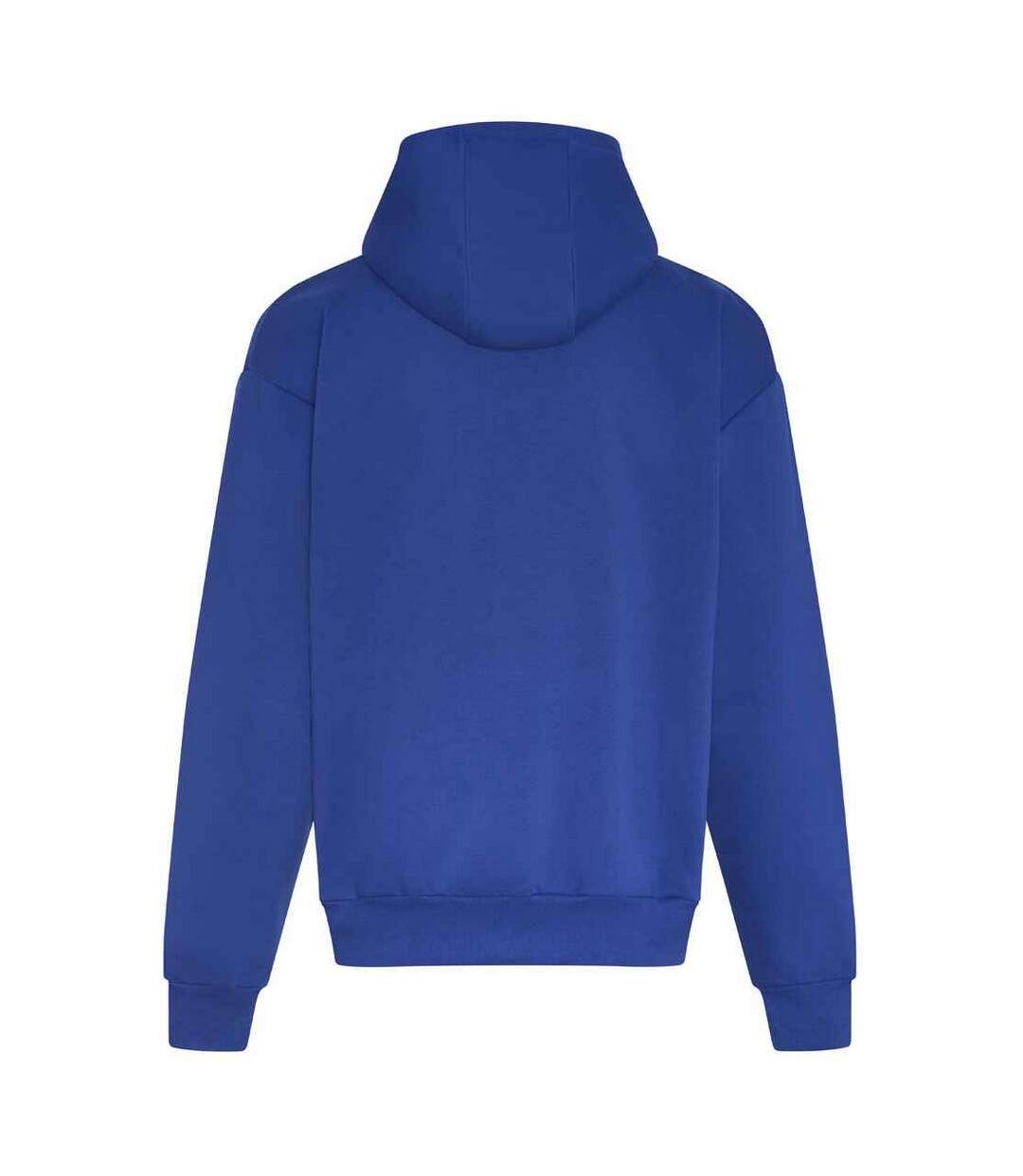 Sweat à capuche adulte bleu roi vif Awdis