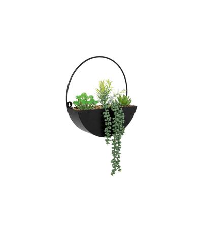 Plante Artificielle à Suspendre Imy 41cm Noir