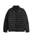 Doudoune Motif/style Matelassé Joel Homme Conifère Farah-2