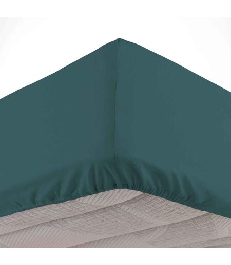 Drap Housse en Coton Linette 160x200cm Pétrole