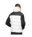 Mens raymax gilet putty/black Duck and Cover