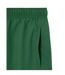 Mens Logo Swim Shorts Green Lacoste-4