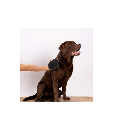 Gant de Brossage pour Chien & Chat 2 Faces 15cm Gris